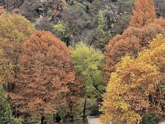 -秦岭终南山世界地质公园翠华山景区