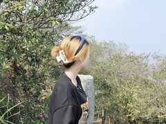 -风云岭森林公园