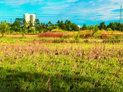 -白鹭湾湿地公园