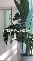 -纯粹医美