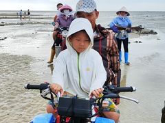 -红树林天天赶海