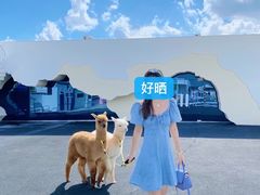 -Blue Concept Cafe&Farm·關於藍