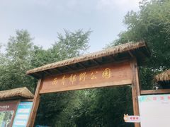 -西青郊野公园