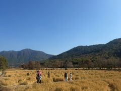 -塔川景区