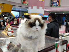 -丽达购物中心(崂山店)