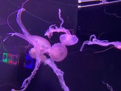 -成都浩海立方海洋公园