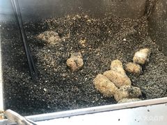 -叶氏麻糍(鼓浪屿店)