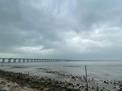 -宝安西湾红树林湿地公园