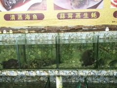 -乡味海鲜农家菜·巽寮土窑鸡(地道美食店)