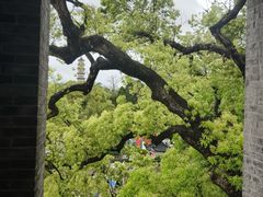 -江心屿景区