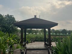 -那考河湿地公园