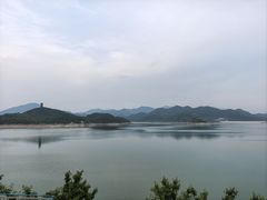 -望湖烤鱼