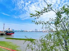 -上海共青森林公园