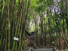 -竹海听涛生态山庄