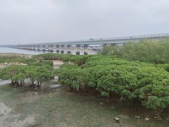 -集美鳌园景区