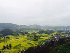 -牛街螺丝田