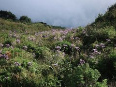 -白草畔自然风景区