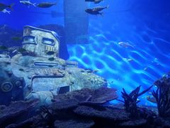 -海合安武汉极地海洋公园