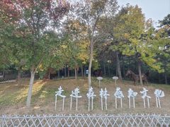 -北京西山国家森林公园