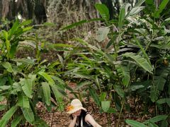 -中国科学院西双版纳热带植物园