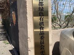 -大自然农场蔬菜草莓采摘园