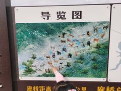 -新疆天山野生动物园