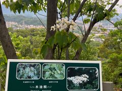 -福道