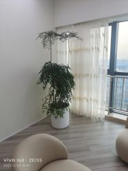 -HEYAN荷妍专业脱毛连锁机构