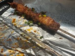 -额尔敦草原涮羊肉·烧烤(冻青树总店)