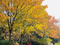 -北极寺公园