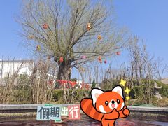 -夏津德百度假村温泉