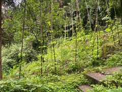 -西岭雪山大飞水景区