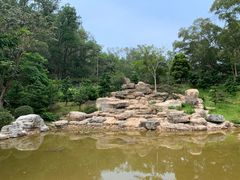 -深圳仙湖植物园