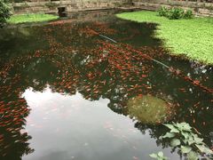 -普陀山风景名胜区-法雨禅寺
