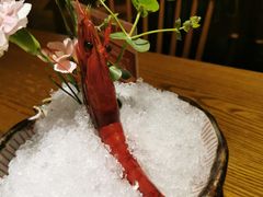 -山盛创作料理·Yamamori(珠宾店)