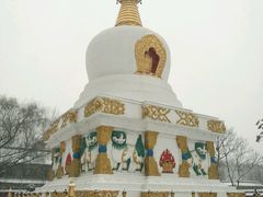 -护国法轮寺
