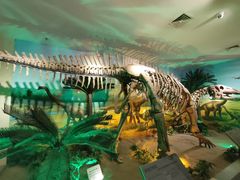 -甘肃地质博物馆