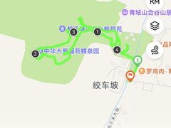 -都江堰中华大熊猫苑