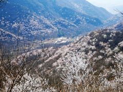 -香山公园