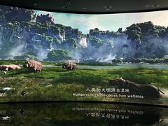 -中国湿地博物馆