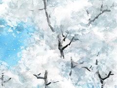 -瓦屋山景区