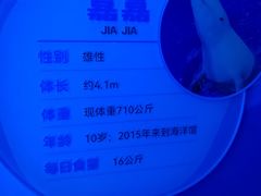 -广州海洋馆