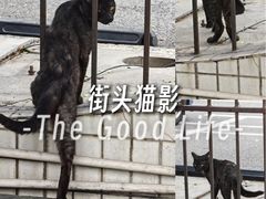-武汉长江大桥