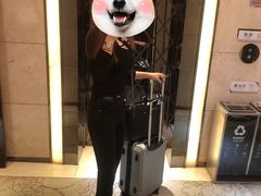 -天艺东环酒店(海口高铁东站龙湖天街店)