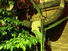 -慢丽江·云南野生菌土鸡锅(西山店)