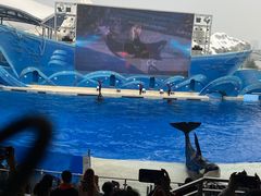 -上海海昌海洋公园