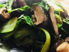 -九华山友谊土菜馆 小资餐厅