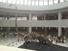 -中国港口博物馆