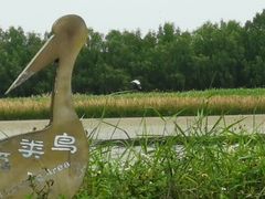 -大湾区中央湿地公园