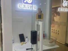 -爱洗澡的猫(天河路店)